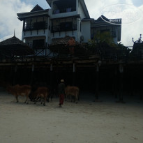 фото из отзыва ID 2161325