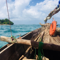 фото из отзыва ID 2161375