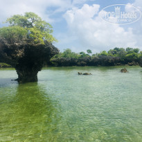 фото из отзыва ID 2161375