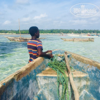 фото из отзыва ID 2161375