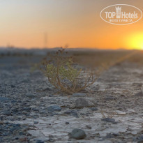 фото из отзыва ID 2161395