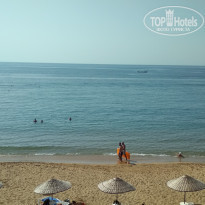 фото из отзыва ID 2161408