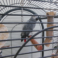 фото из отзыва ID 2161408