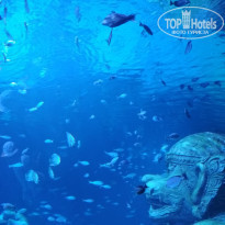 фото из отзыва ID 2161540