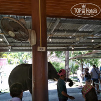 фото из отзыва ID 2161540