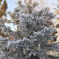 фото из отзыва ID 2161645