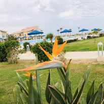 фото из отзыва ID 2161695