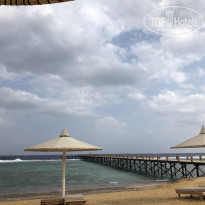 фото из отзыва ID 2161695