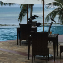 фото из отзыва ID 2161637