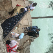 фото из отзыва ID 2161637