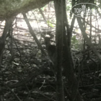 фото из отзыва ID 2161637