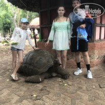 фото из отзыва ID 2161637