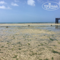 фото из отзыва ID 2161637