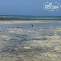 фото из отзыва ID 2161637