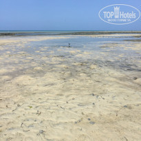 фото из отзыва ID 2161637