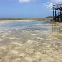 фото из отзыва ID 2161637