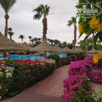 фото из отзыва ID 2161762