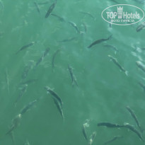 фото из отзыва ID 2161822