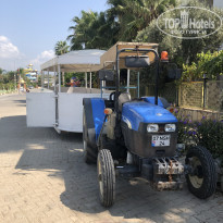 фото из отзыва ID 2161828