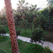 фото из отзыва ID 2161966