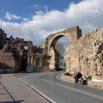 фото из отзыва ID 2161966