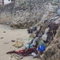 фото из отзыва ID 2162013