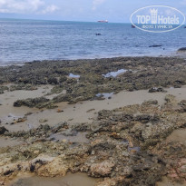 фото из отзыва ID 2162013