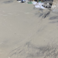 фото из отзыва ID 2162013