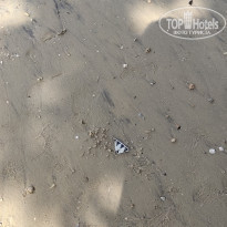 фото из отзыва ID 2162013