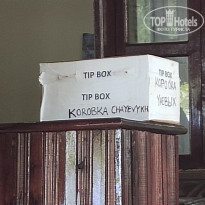 фото из отзыва ID 2162013