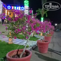 фото из отзыва ID 2162018