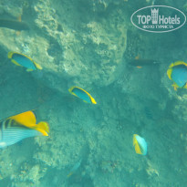 фото из отзыва ID 2162018