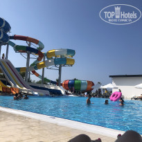 фото из отзыва ID 2162044