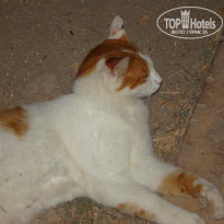 фото из отзыва ID 2162173