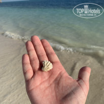 фото из отзыва ID 2162453