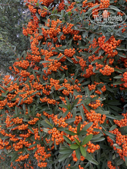 May Thermal Resort & Spa