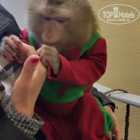 фото из отзыва ID 2162575