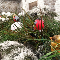 фото из отзыва ID 2162634