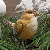 фото из отзыва ID 2162634