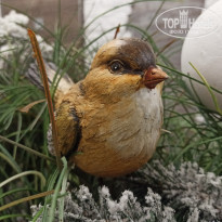 фото из отзыва ID 2162634