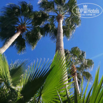 фото из отзыва ID 2162700