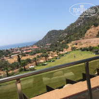 фото из отзыва ID 2162716