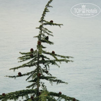 фото из отзыва ID 2162790