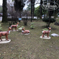 фото из отзыва ID 2162790