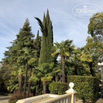 фото из отзыва ID 2162790