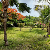 фото из отзыва ID 2162875