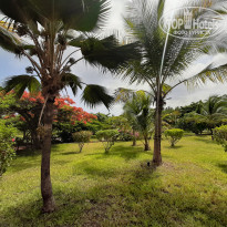 фото из отзыва ID 2162875