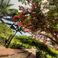 фото из отзыва ID 2162875