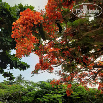 фото из отзыва ID 2162875