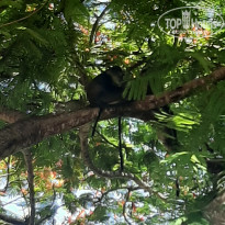 фото из отзыва ID 2162875